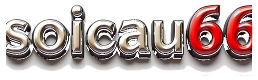 soicau666 logo